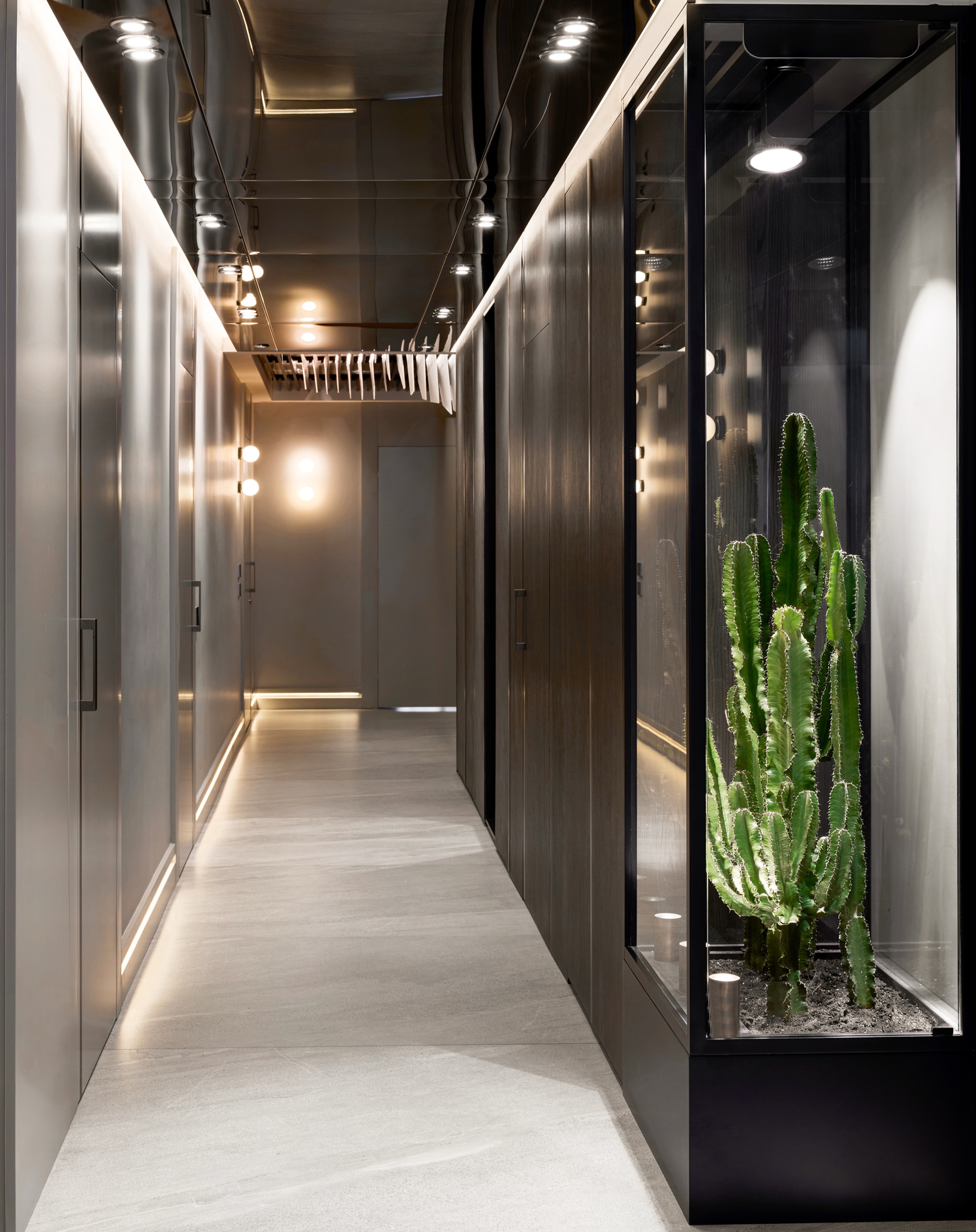 Ataköy — Koridor Kaktüs